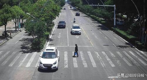 蚌埠爆料交警事件最新,真相与争议交织的警民冲突